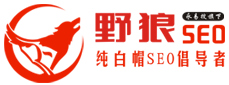 鄭州網(wǎng)站優(yōu)化公司-SEO外包、快照排名推廣服務(wù)-野狼SEO團(tuán)隊(duì)