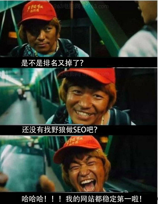 網(wǎng)絡(luò)推廣哪家強(qiáng)，中國鄭州找野狼