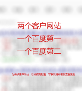 同一個(gè)關(guān)鍵詞，兩個(gè)網(wǎng)站排名首頁(yè)