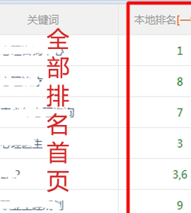 簡(jiǎn)單詞優(yōu)化，網(wǎng)站排名全霸占