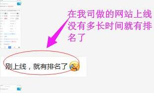 客戶好評：剛上線，就有排名了