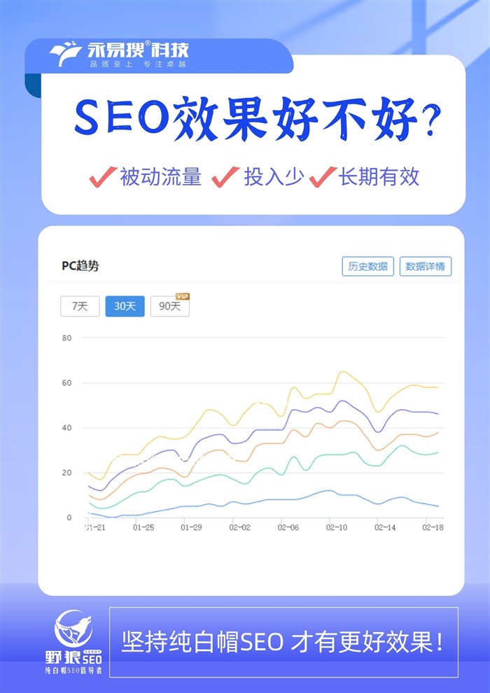 SEO效果數(shù)據(jù)分析圖表